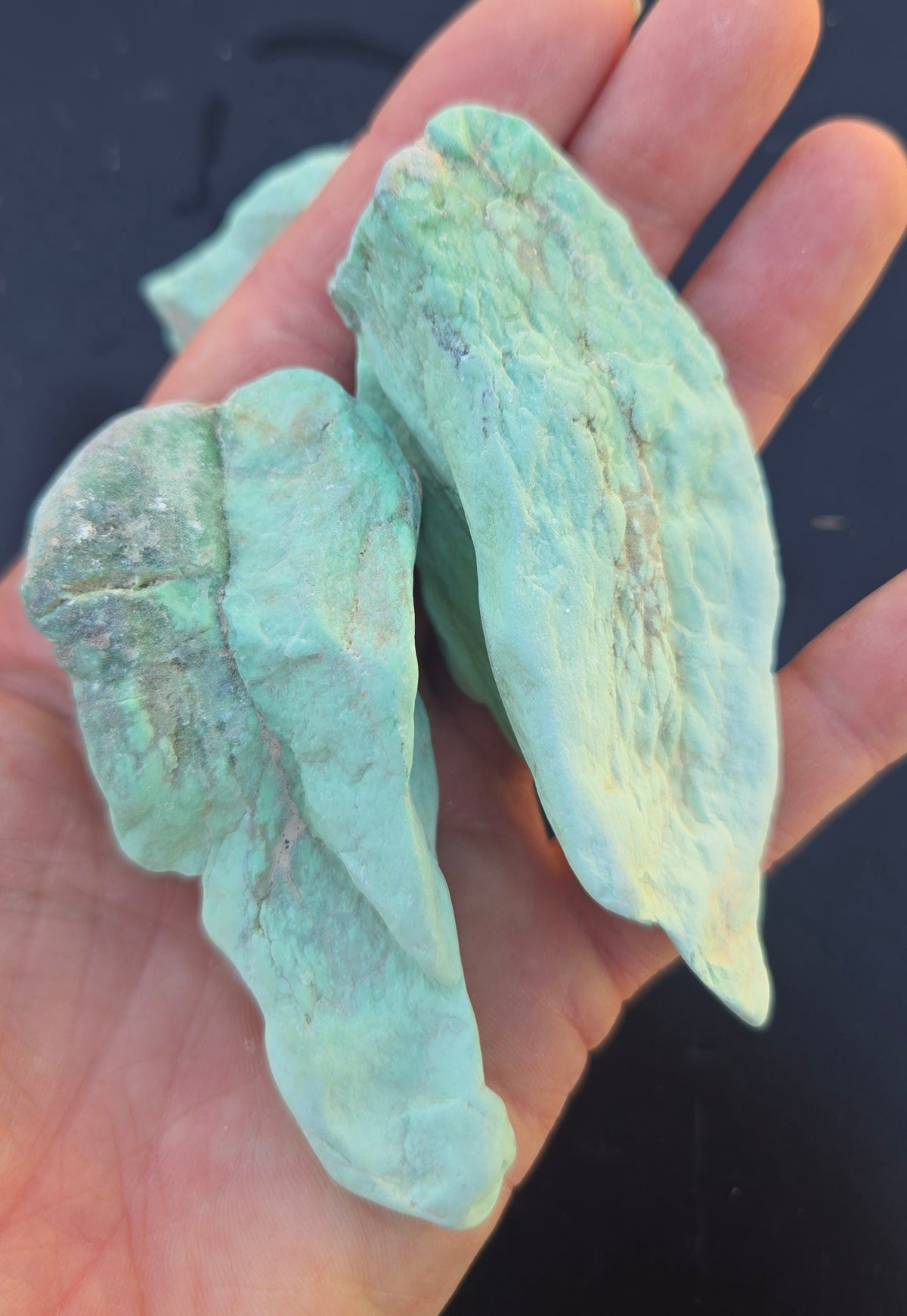 Island Park Variscite solid green rough for cabbing - Natural Idaho Variscite- 224 grams