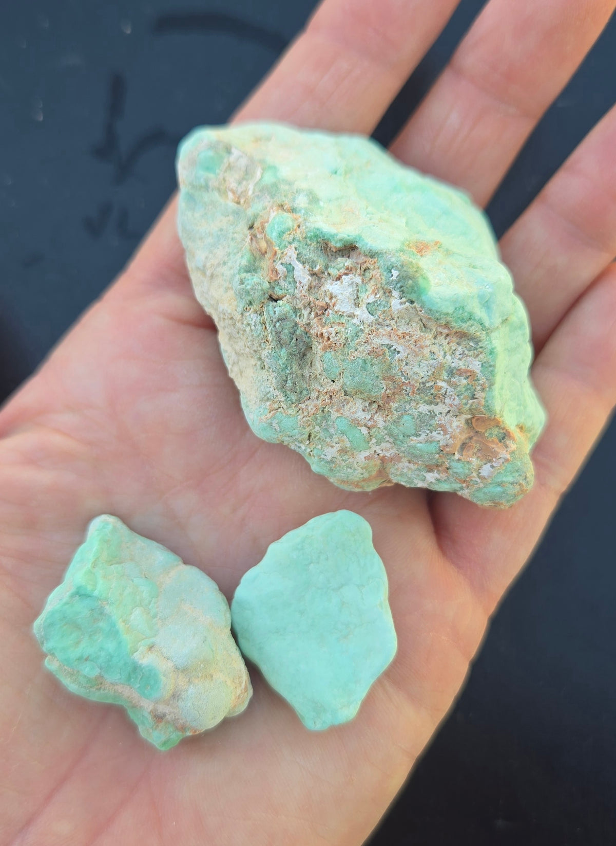 Island Park Variscite solid green rough for cabbing - Natural Idaho Variscite- 224 grams