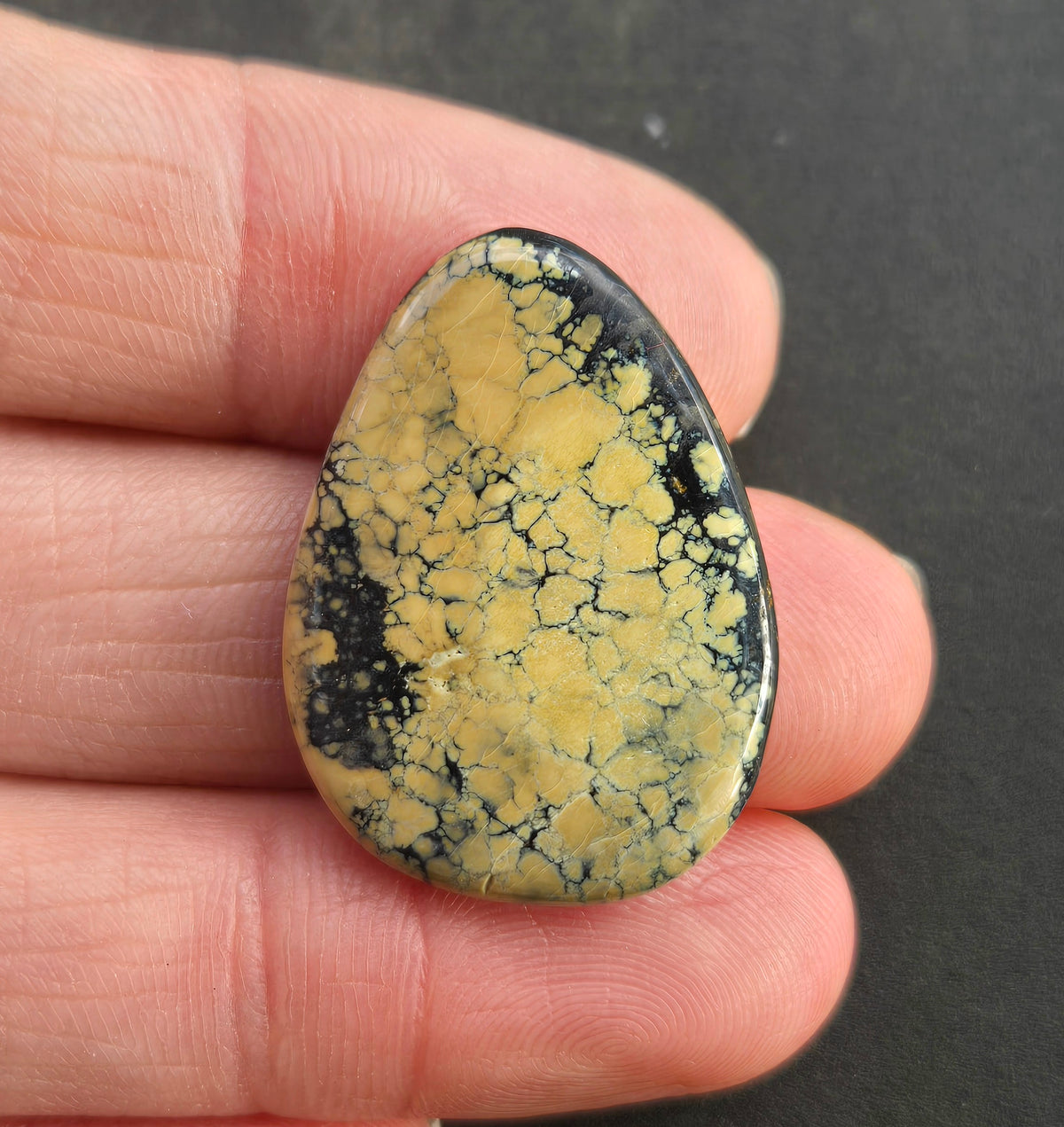 Desert Treasure Variscite Cabochon