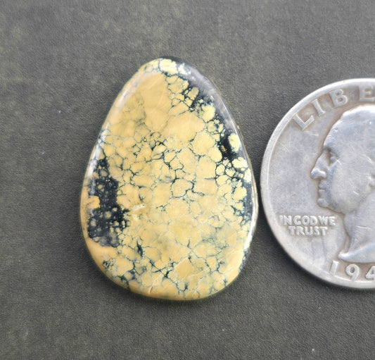 Desert Treasure Variscite Cabochon