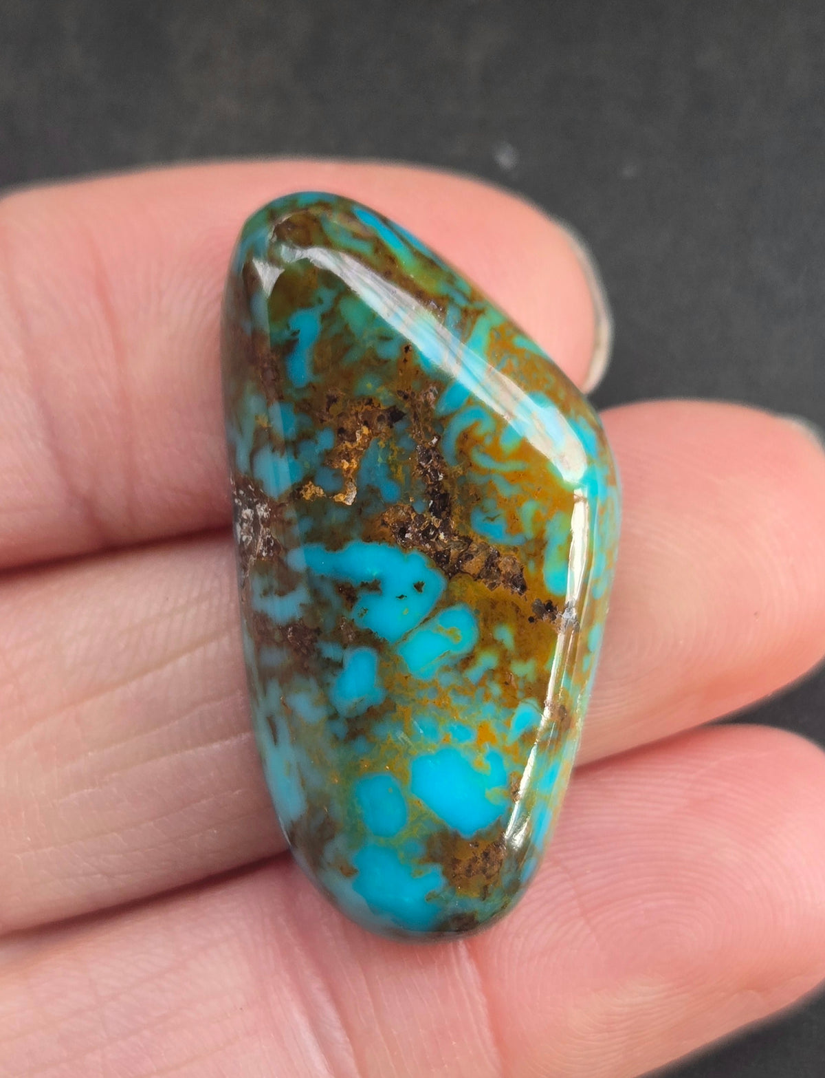 AAA Kingman Polychrome Ceremonial Turquoise Cabochon