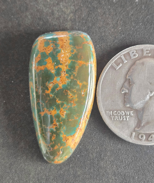 AAA Kingman Rising Phoenix Turquoise Cabochon