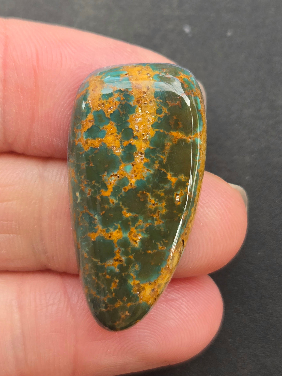 AAA Kingman Rising Phoenix Turquoise Cabochon