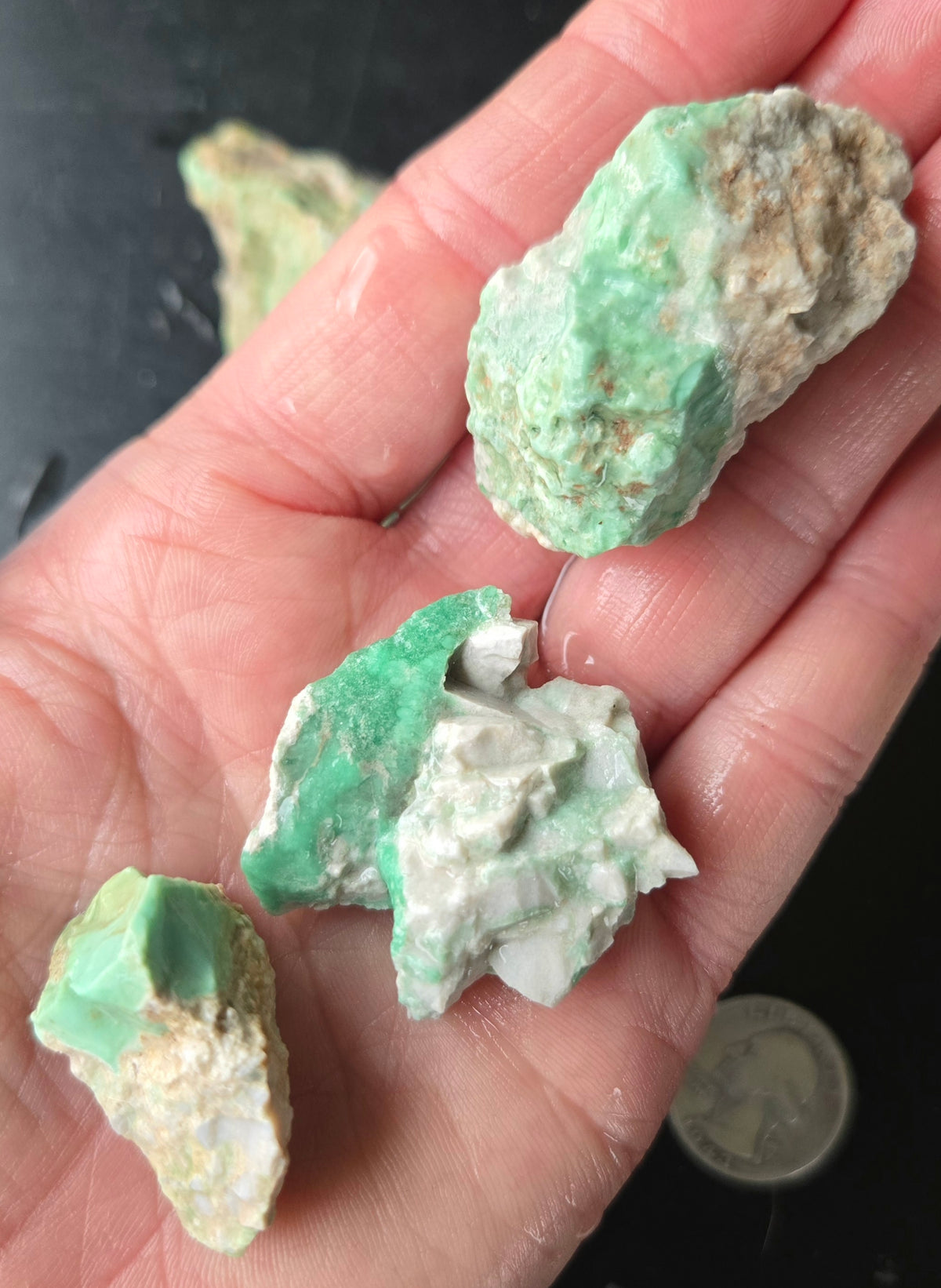 Lucin Variscite Rough for cabbing - Natural Utah Variscite- 375 gram lot