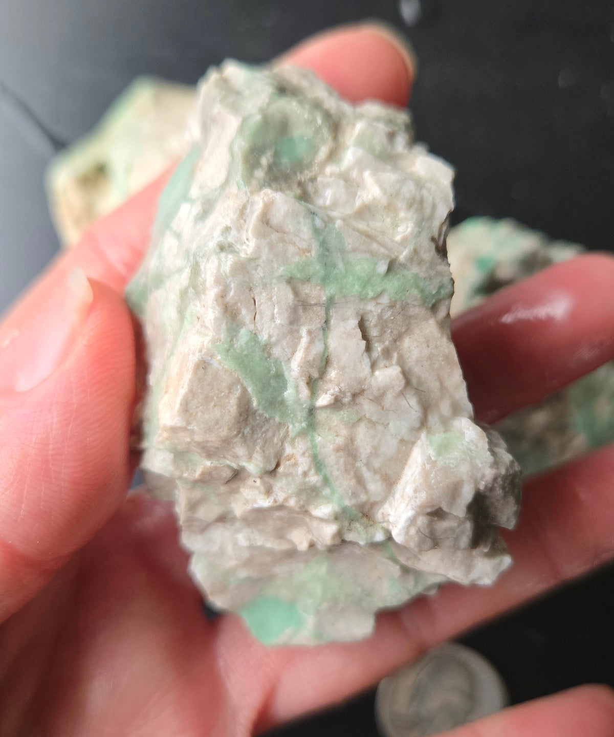 Lucin Variscite Rough for cabbing - Natural Utah Variscite- Lot 2