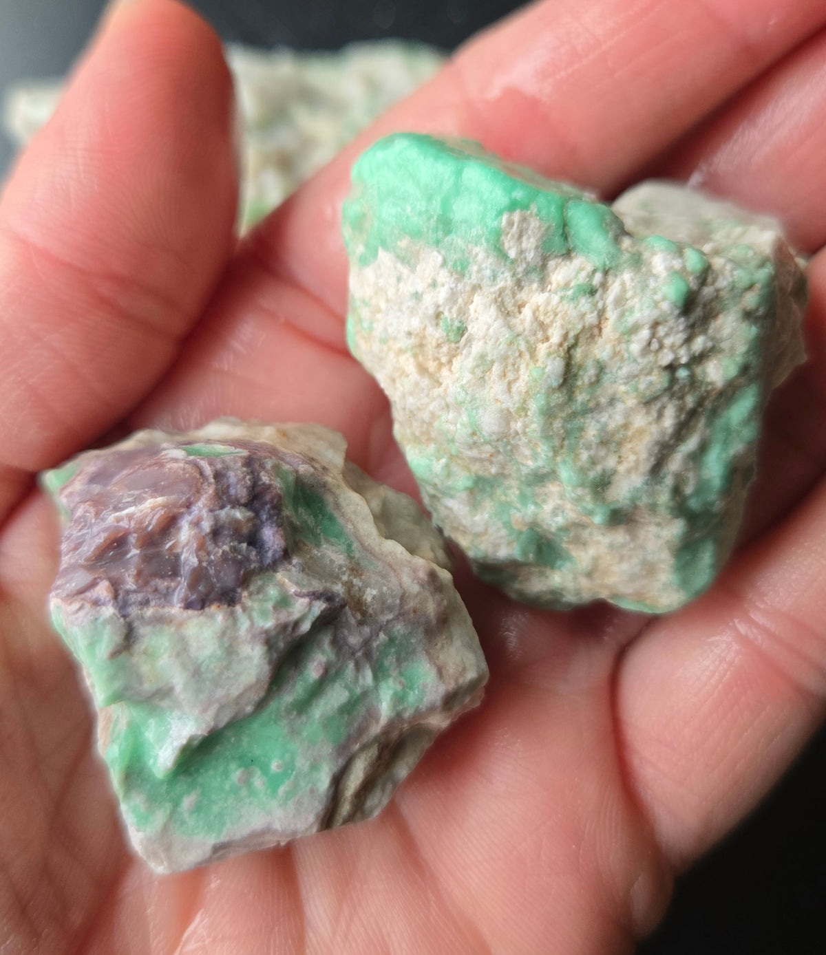 Lucin Variscite Rough for cabbing - Natural Utah Variscite- Lot 3