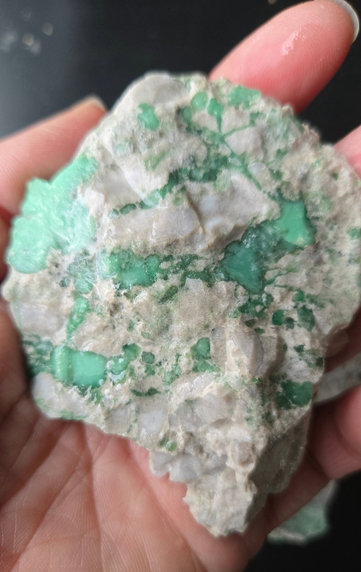Lucin Variscite Rough for cabbing - Natural Utah Variscite- Lot 4