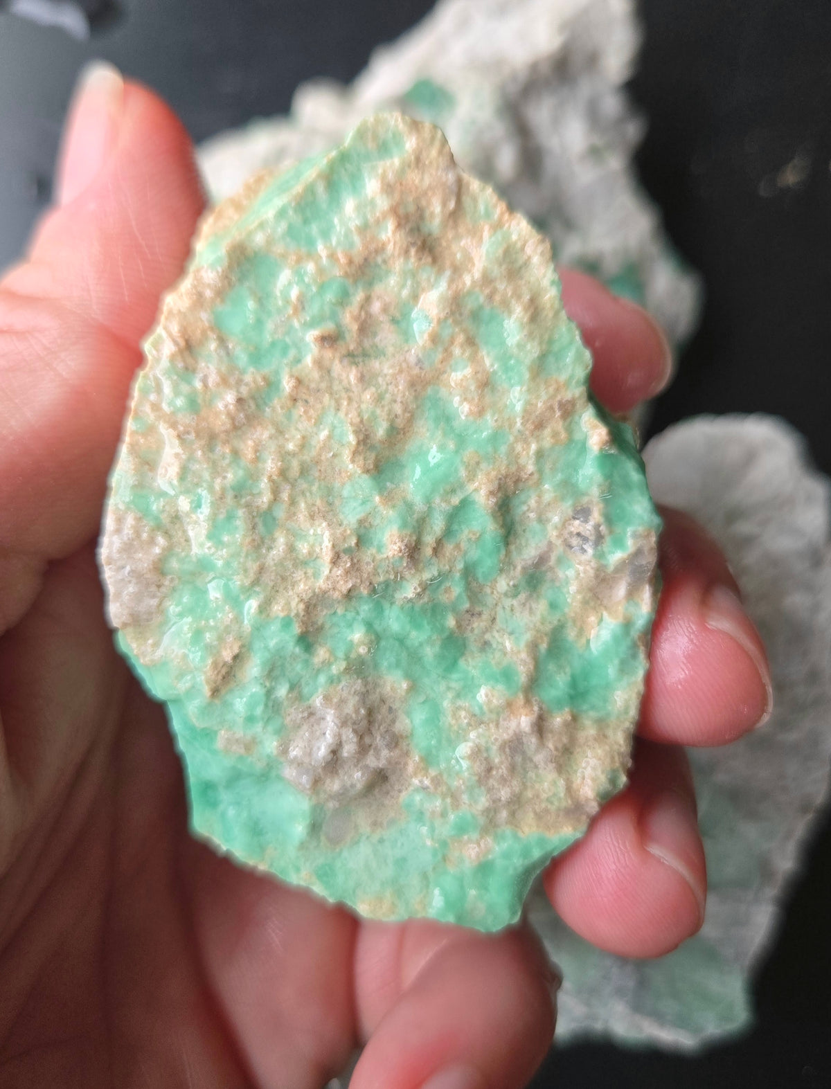 Lucin Variscite Rough for cabbing - Natural Utah Variscite- Lot 4