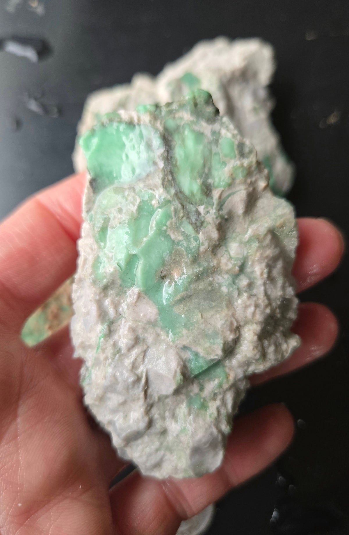 Lucin Variscite Rough for cabbing - Natural Utah Variscite- Lot 4