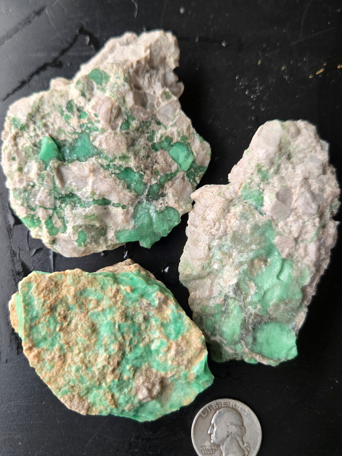 Lucin Variscite Rough for cabbing - Natural Utah Variscite- Lot 4