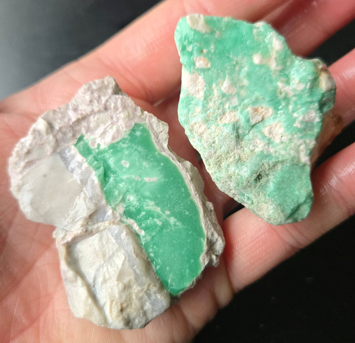 Lucin Variscite Rough for cabbing - Natural Utah Variscite- Lot 5