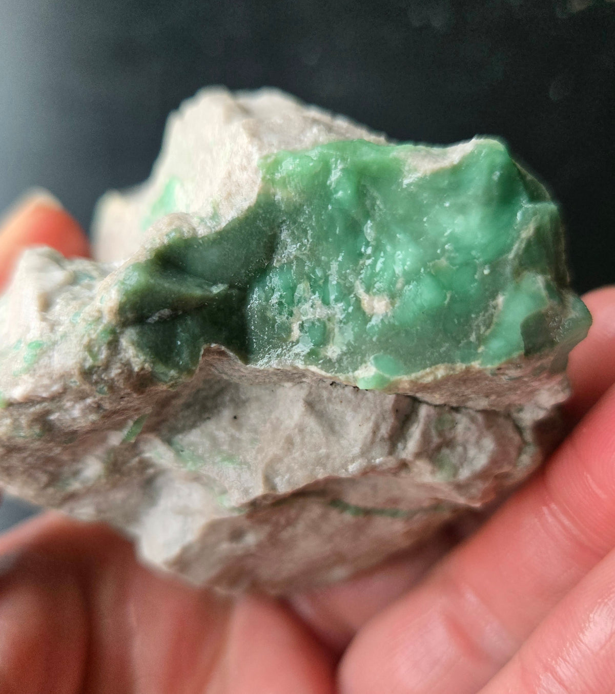 Lucin Variscite Rough for cabbing - Natural Utah Variscite- Lot 6
