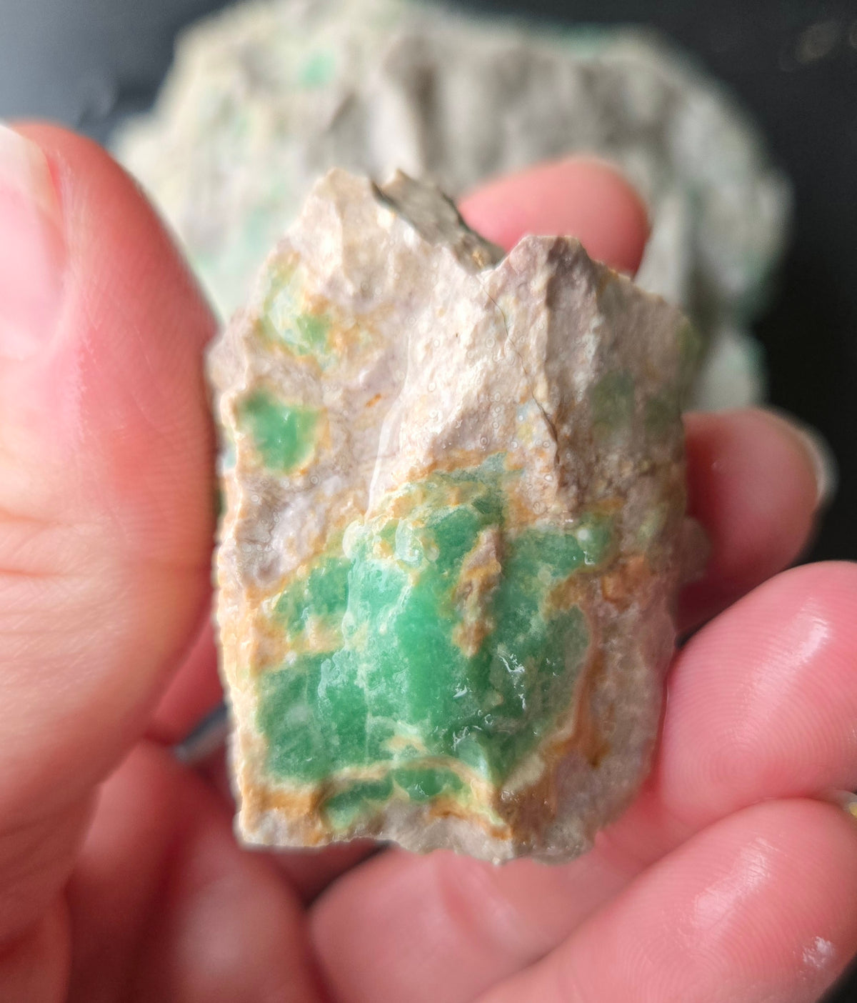 Lucin Variscite Rough for cabbing - Natural Utah Variscite- Lot 6