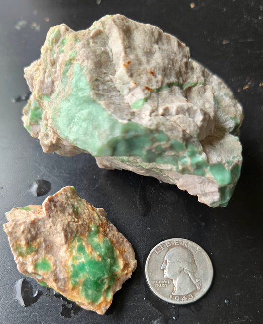 Lucin Variscite Rough for cabbing - Natural Utah Variscite- Lot 6
