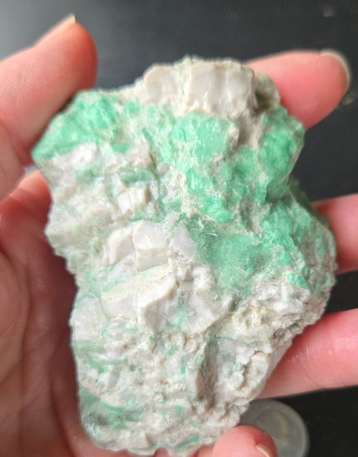 Lucin Variscite Rough for cabbing - Natural Utah Variscite- Lot 7