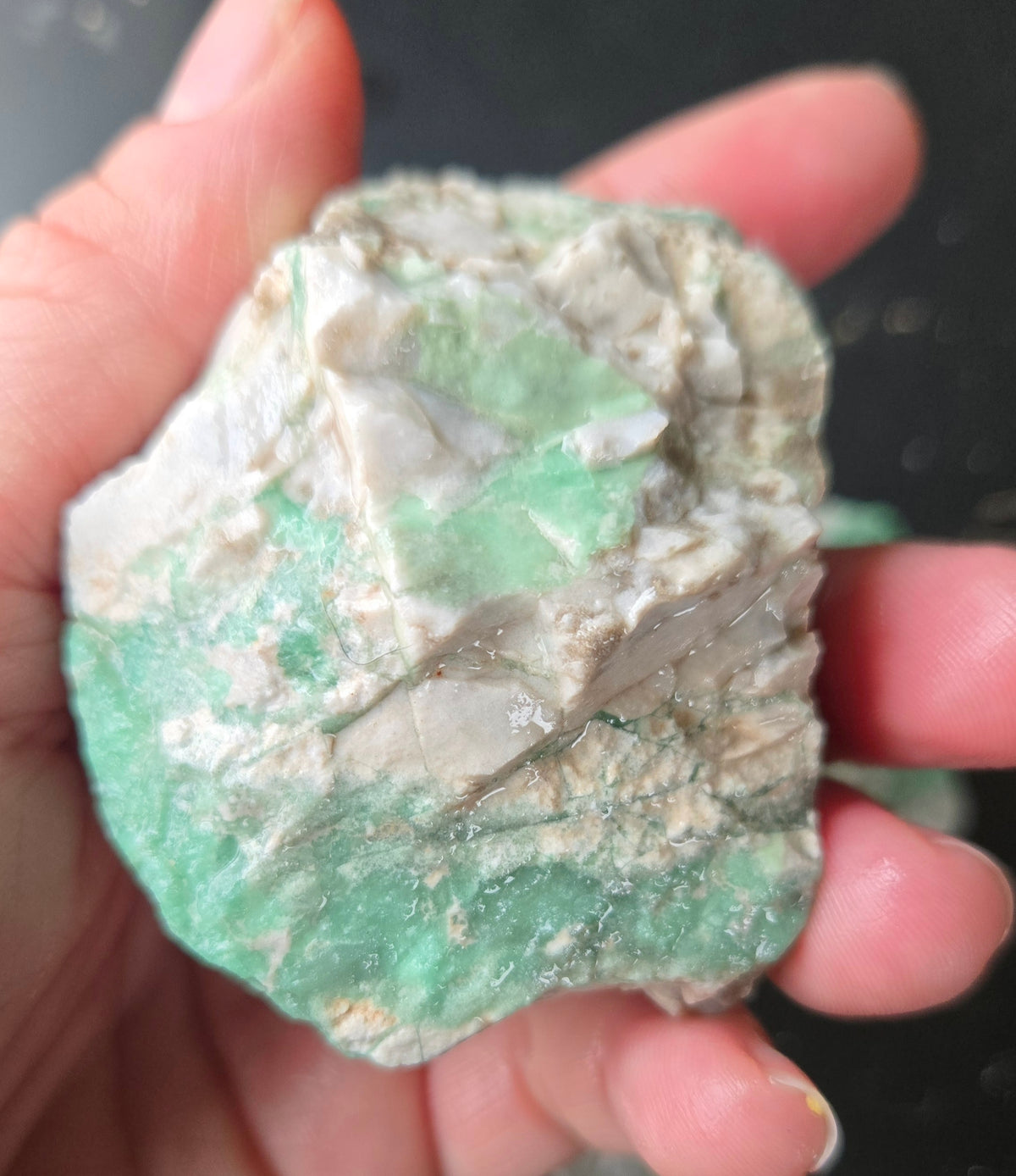 Lucin Variscite Rough for cabbing - Natural Utah Variscite- Lot 7