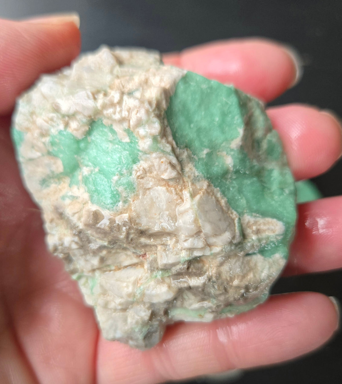 Lucin Variscite Rough for cabbing - Natural Utah Variscite- Lot 7
