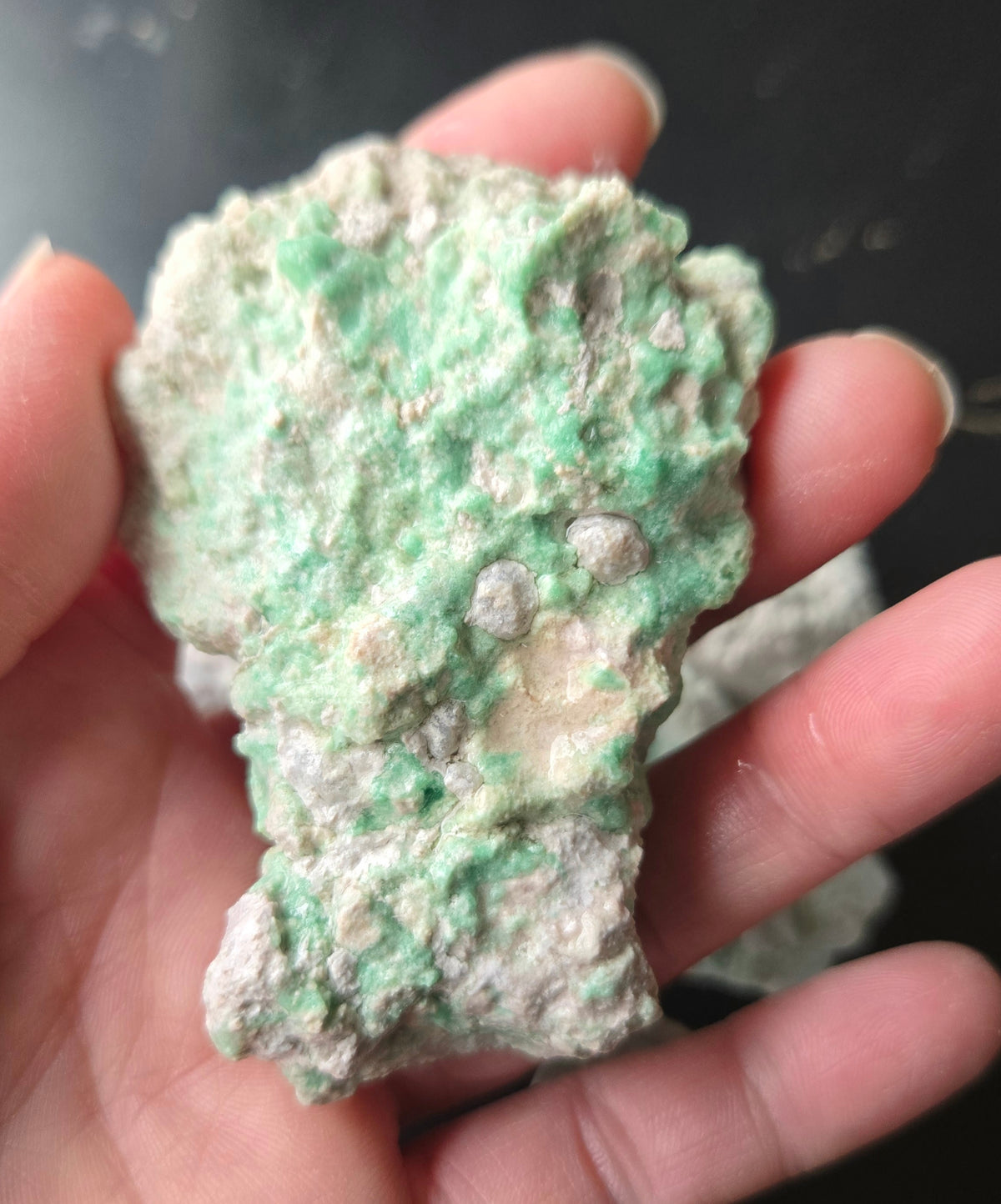 Lucin Variscite Rough for cabbing - Natural Utah Variscite- Lot 8