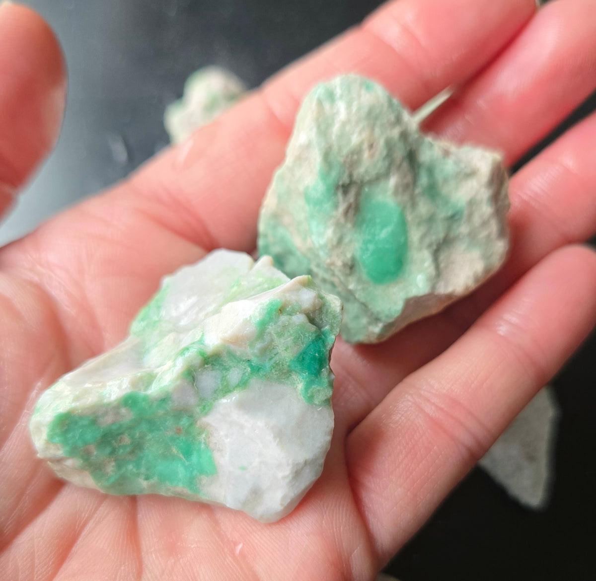 Lucin Variscite Rough for cabbing - Natural Utah Variscite- Lot 8