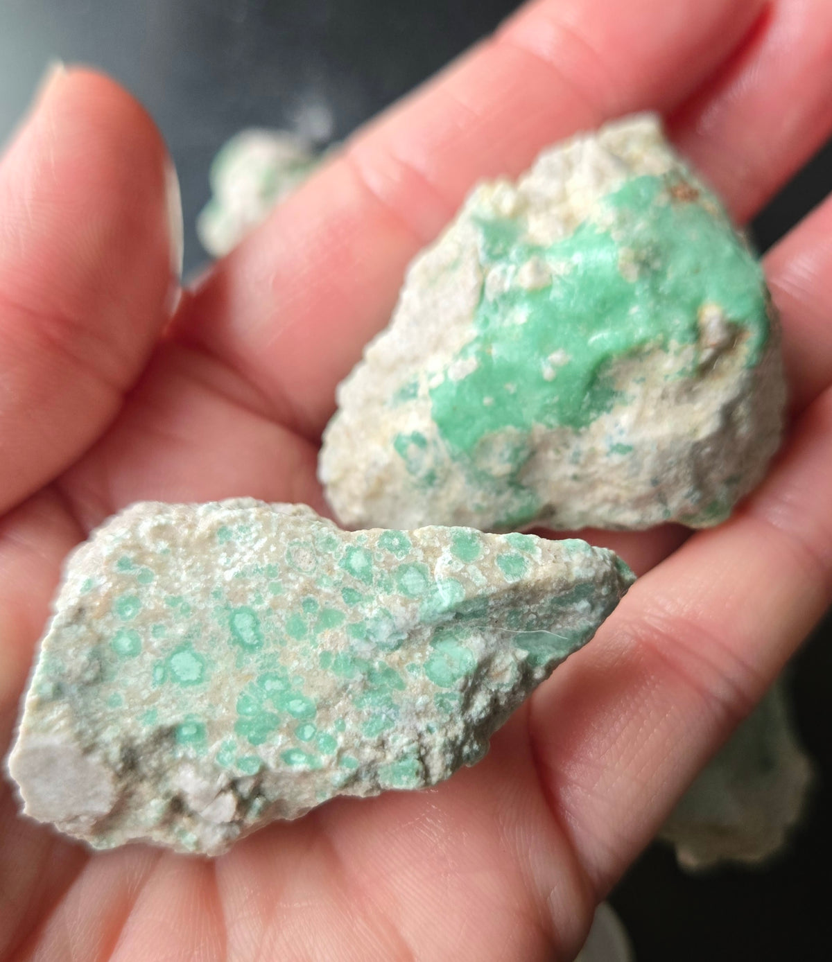 Lucin Variscite Rough for cabbing - Natural Utah Variscite- Lot 8
