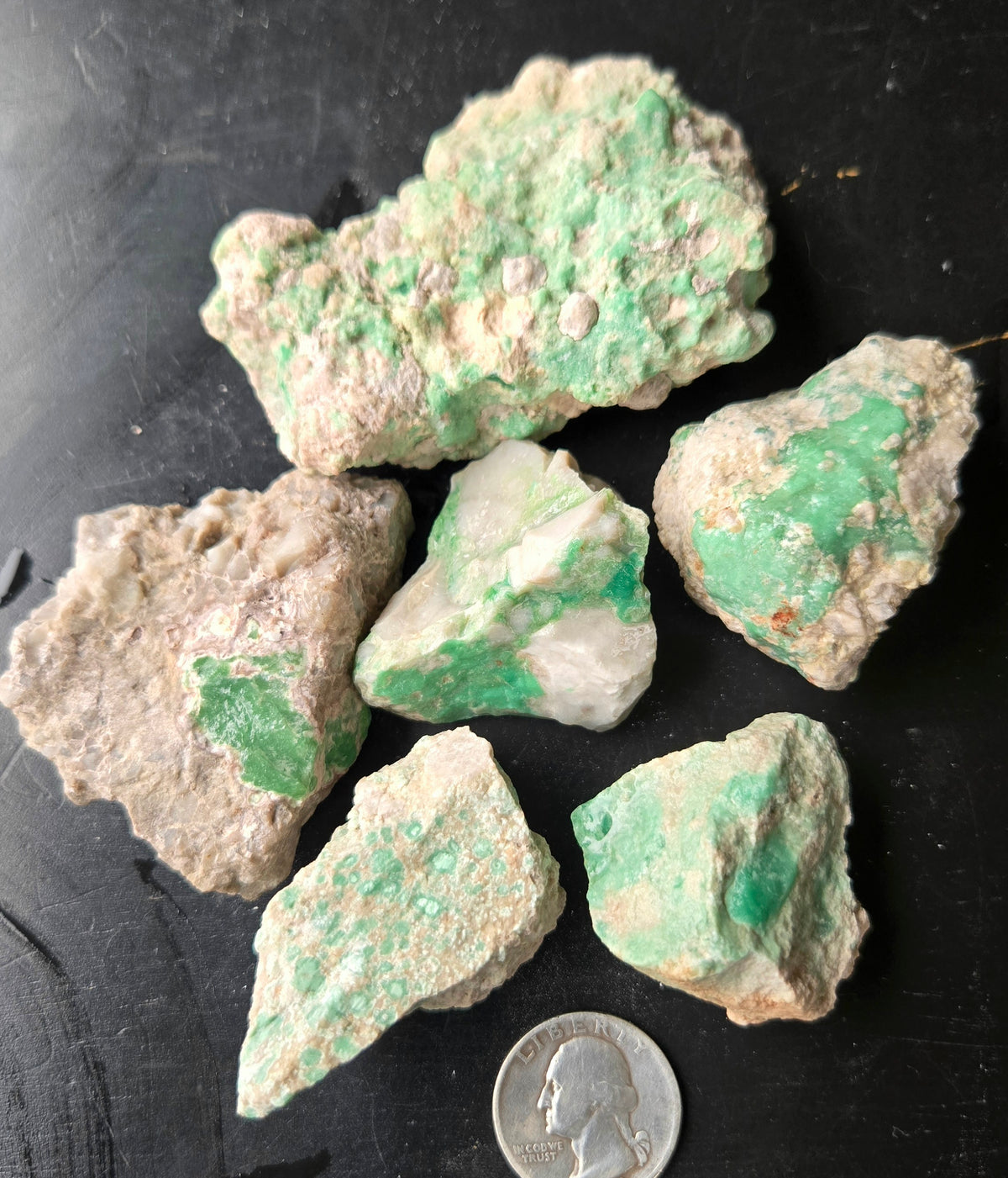 Lucin Variscite Rough for cabbing - Natural Utah Variscite- Lot 8