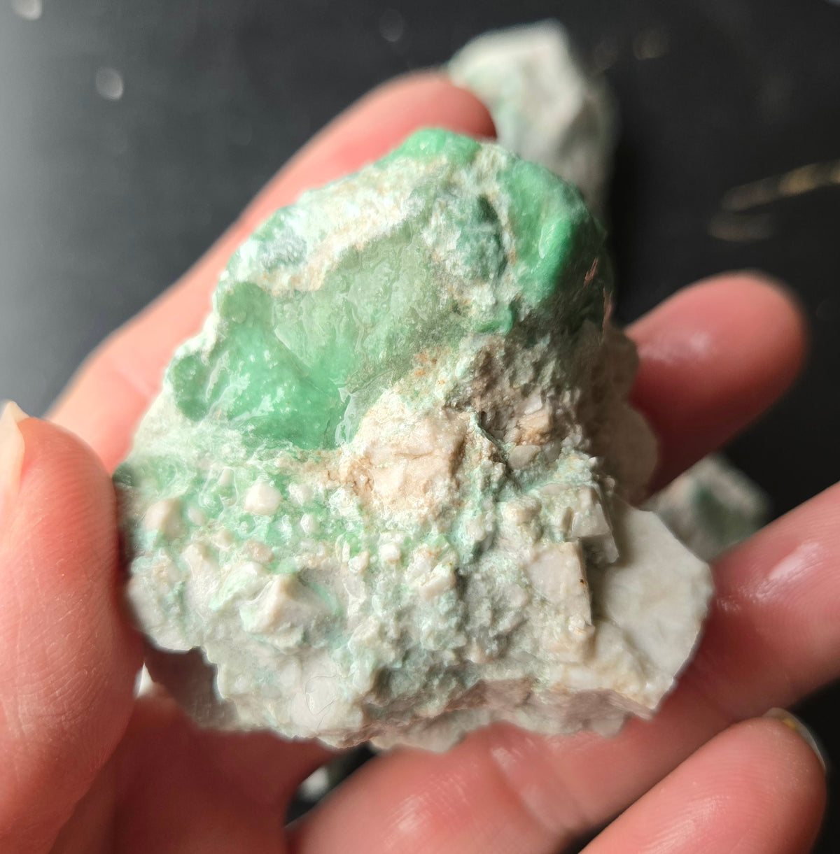 Lucin Variscite Rough for cabbing - Natural Utah Variscite- Lot 9