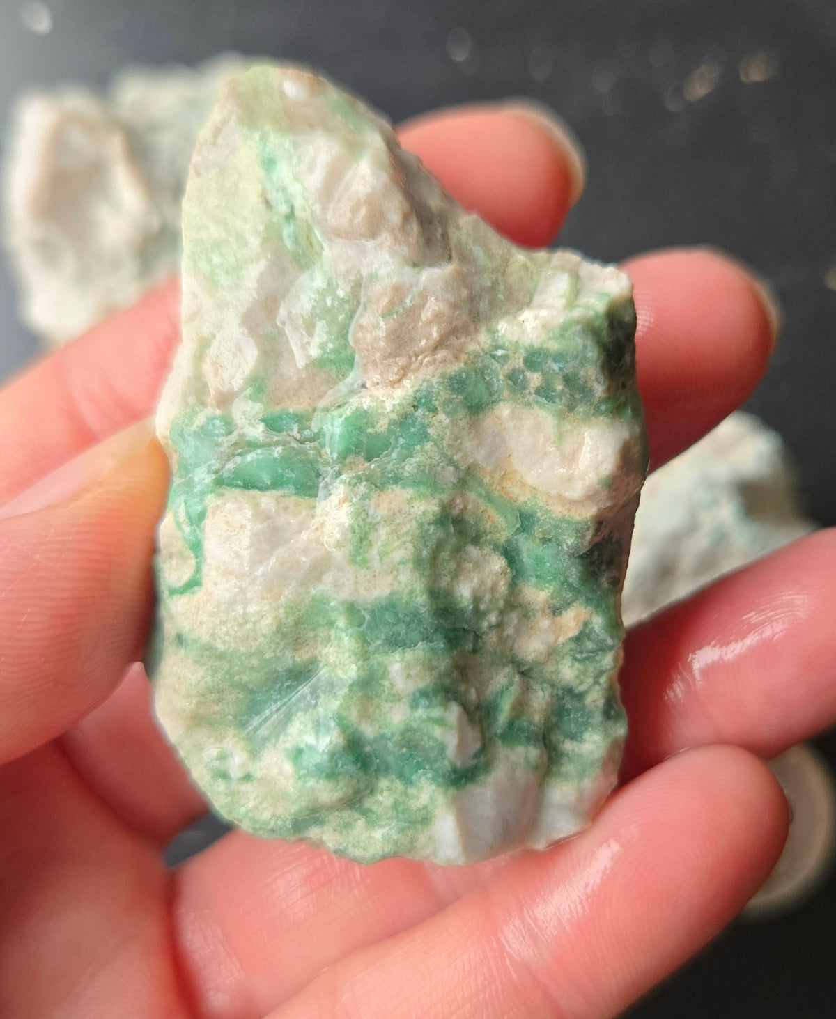 Lucin Variscite Rough for cabbing - Natural Utah Variscite- Lot 9