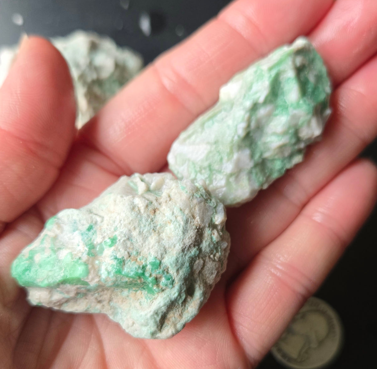 Lucin Variscite Rough for cabbing - Natural Utah Variscite- Lot 9