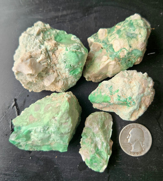 Lucin Variscite Rough for cabbing - Natural Utah Variscite- Lot 9