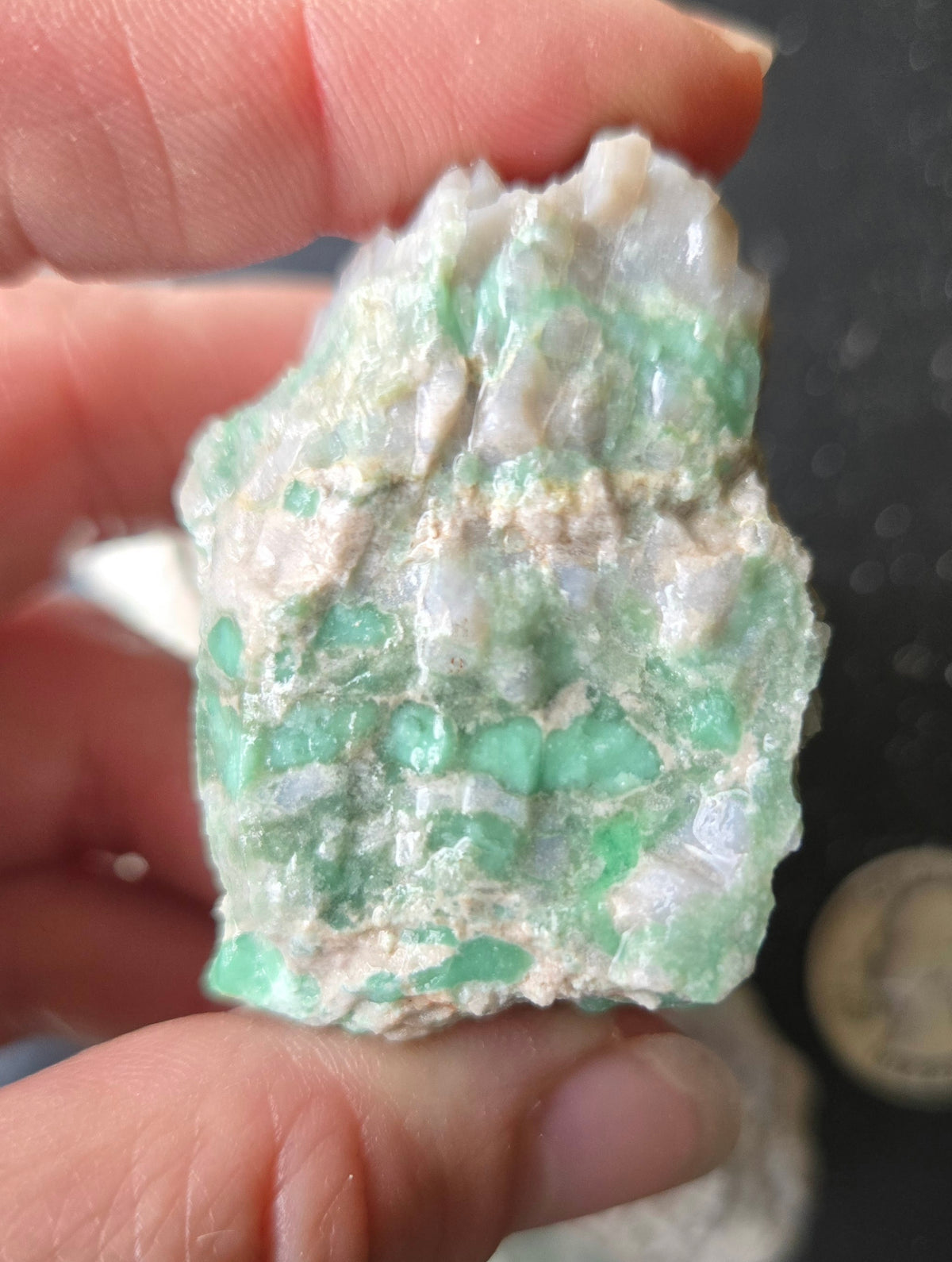 Lucin Variscite Rough for cabbing - Natural Utah Variscite- Lot 10