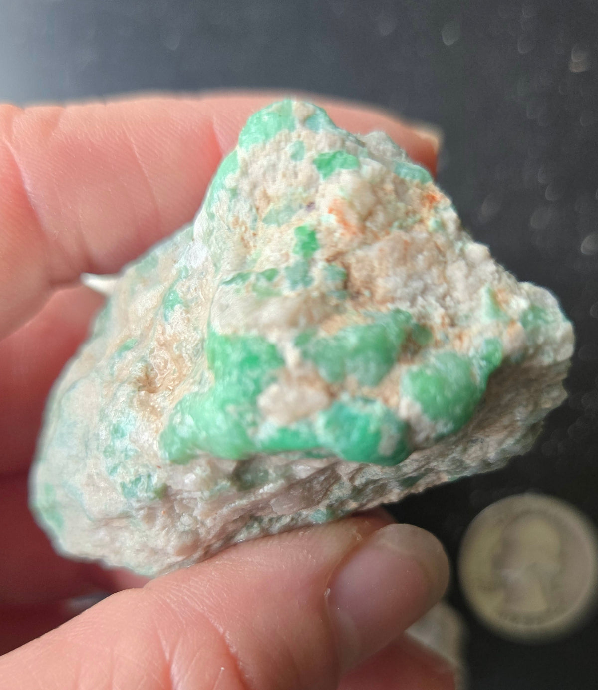 Lucin Variscite Rough for cabbing - Natural Utah Variscite- Lot 10