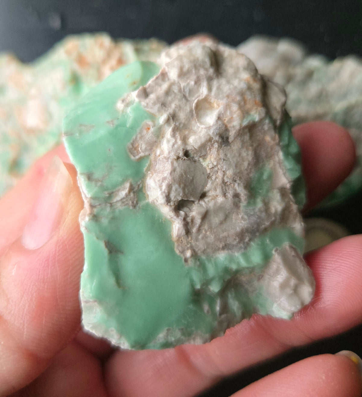 Lucin Variscite Rough for cabbing - Natural Utah Variscite- Lot 10