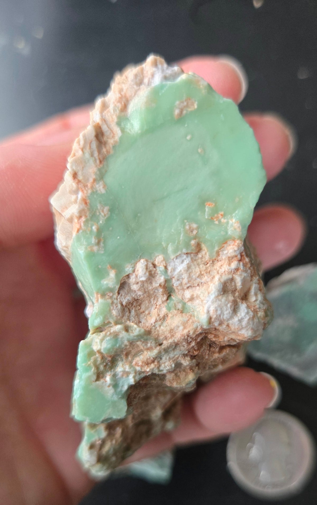 Lucin Variscite Rough for cabbing - Natural Utah Variscite- Lot 11