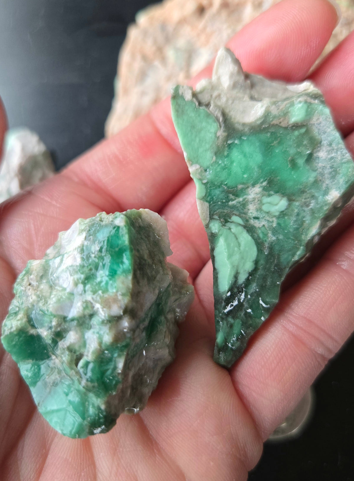 Lucin Variscite Rough for cabbing - Natural Utah Variscite- Lot 11