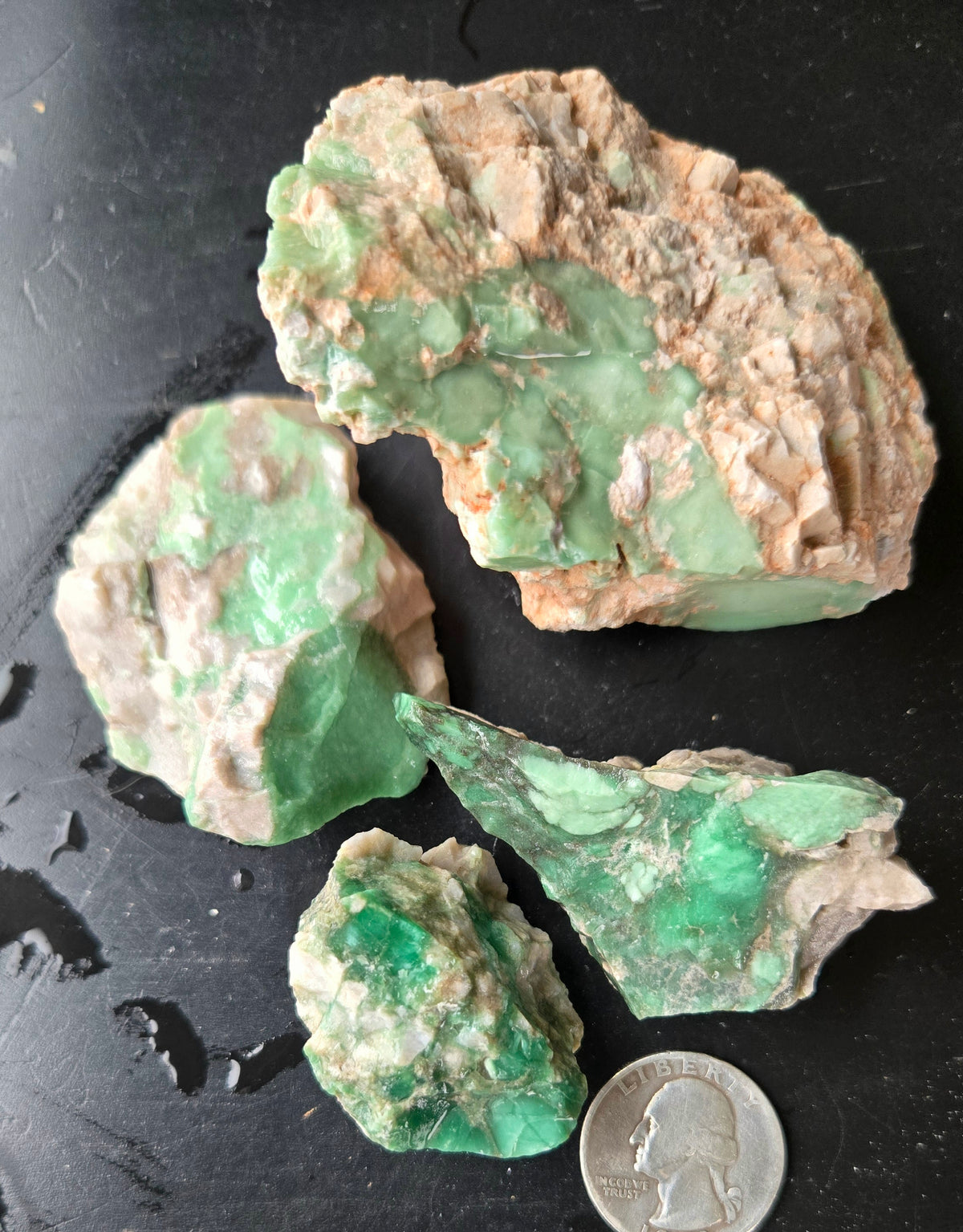 Lucin Variscite Rough for cabbing - Natural Utah Variscite- Lot 11
