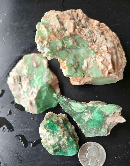 Lucin Variscite Rough for cabbing - Natural Utah Variscite- Lot 11