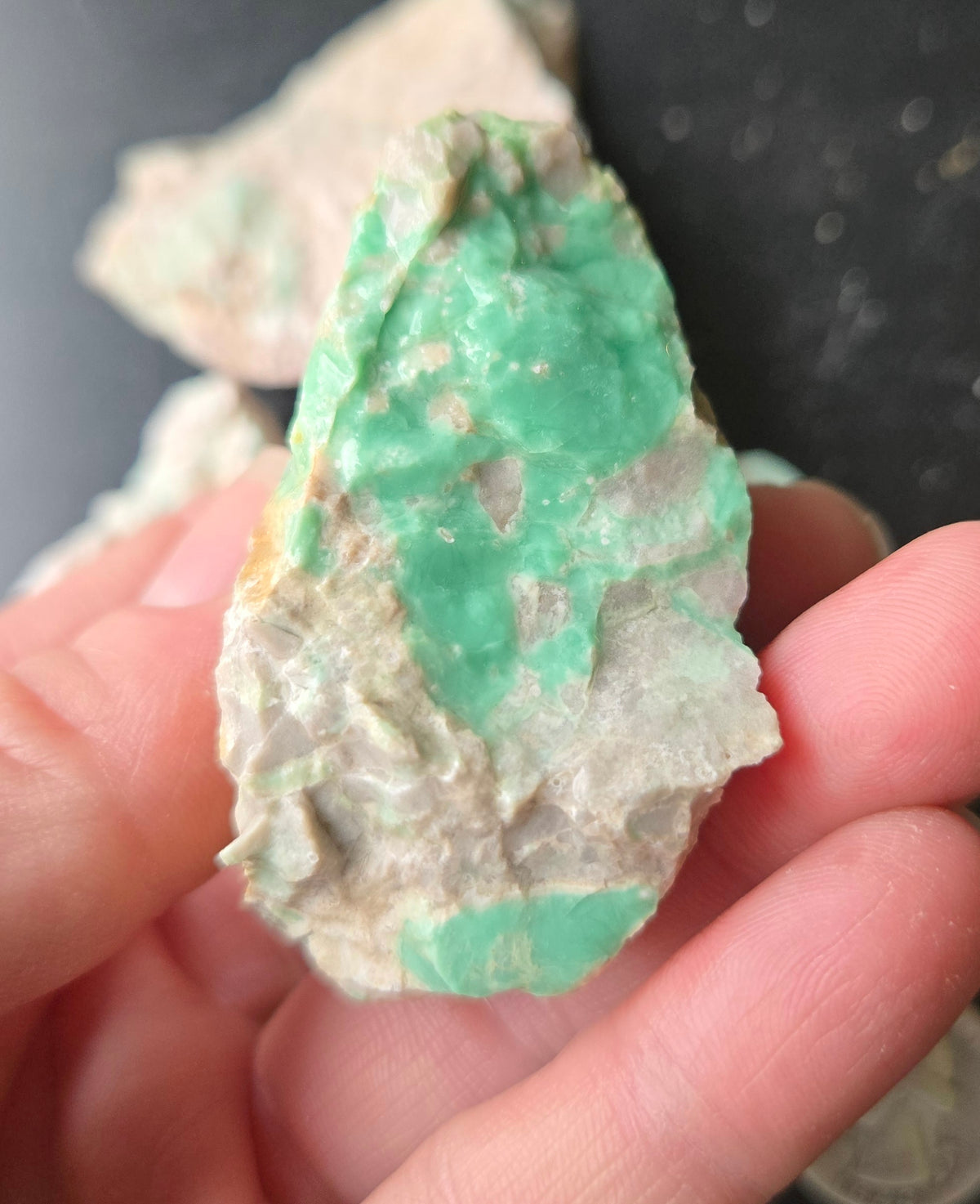 Lucin Variscite Rough for cabbing - Natural Utah Variscite- Lot 12