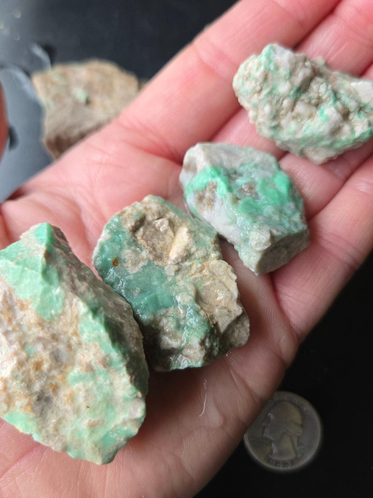 Lucin Variscite Rough for cabbing - Natural Utah Variscite- Lot 12