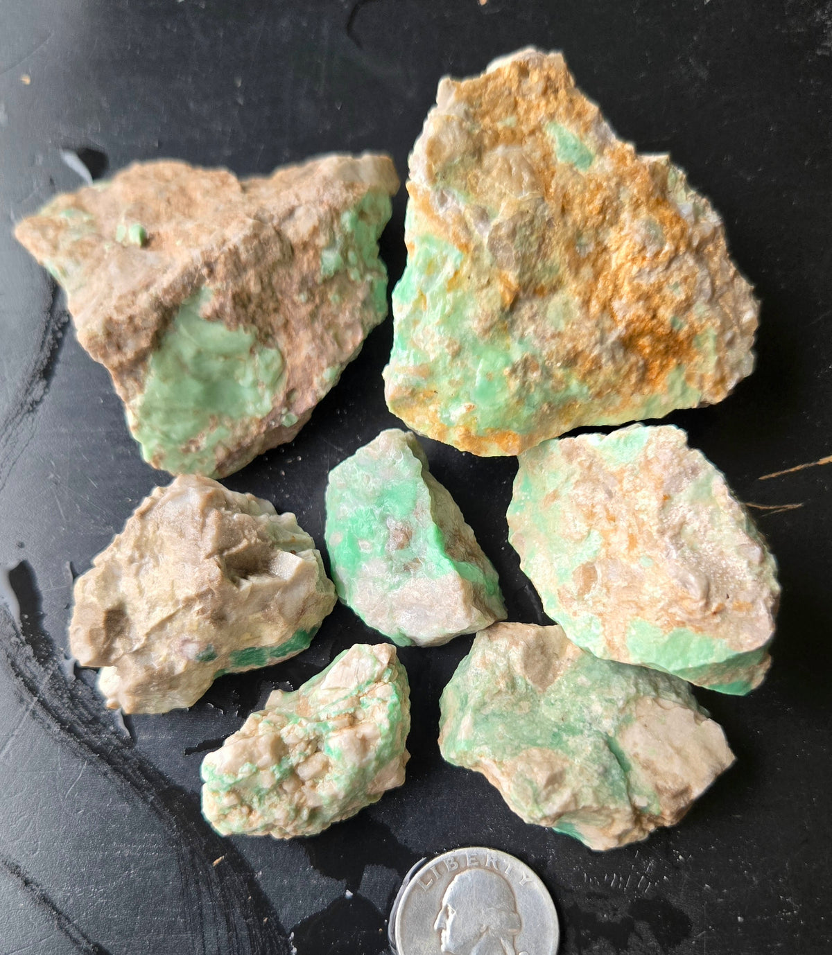 Lucin Variscite Rough for cabbing - Natural Utah Variscite- Lot 12