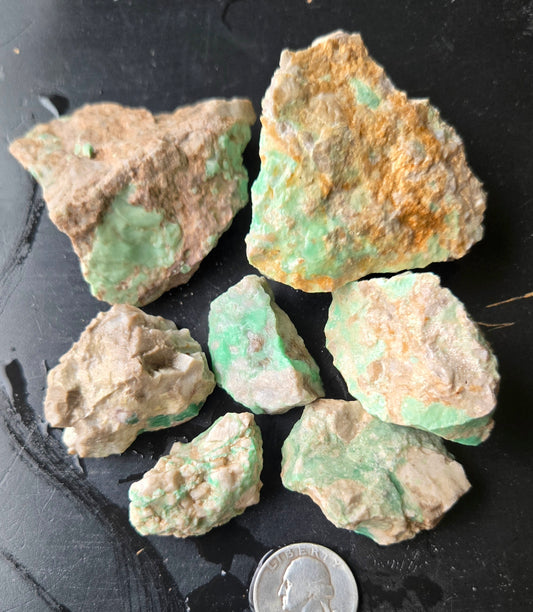 Lucin Variscite Rough for cabbing - Natural Utah Variscite- Lot 12