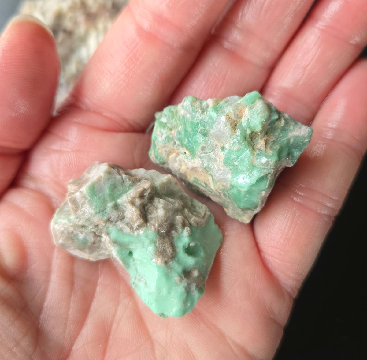 Lucin Variscite Rough for cabbing - Natural Utah Variscite- Lot 13