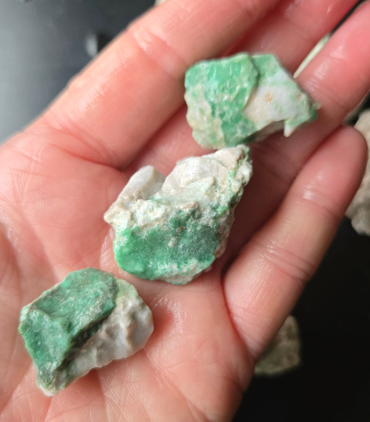 Lucin Variscite Rough for cabbing - Natural Utah Variscite- Lot 14