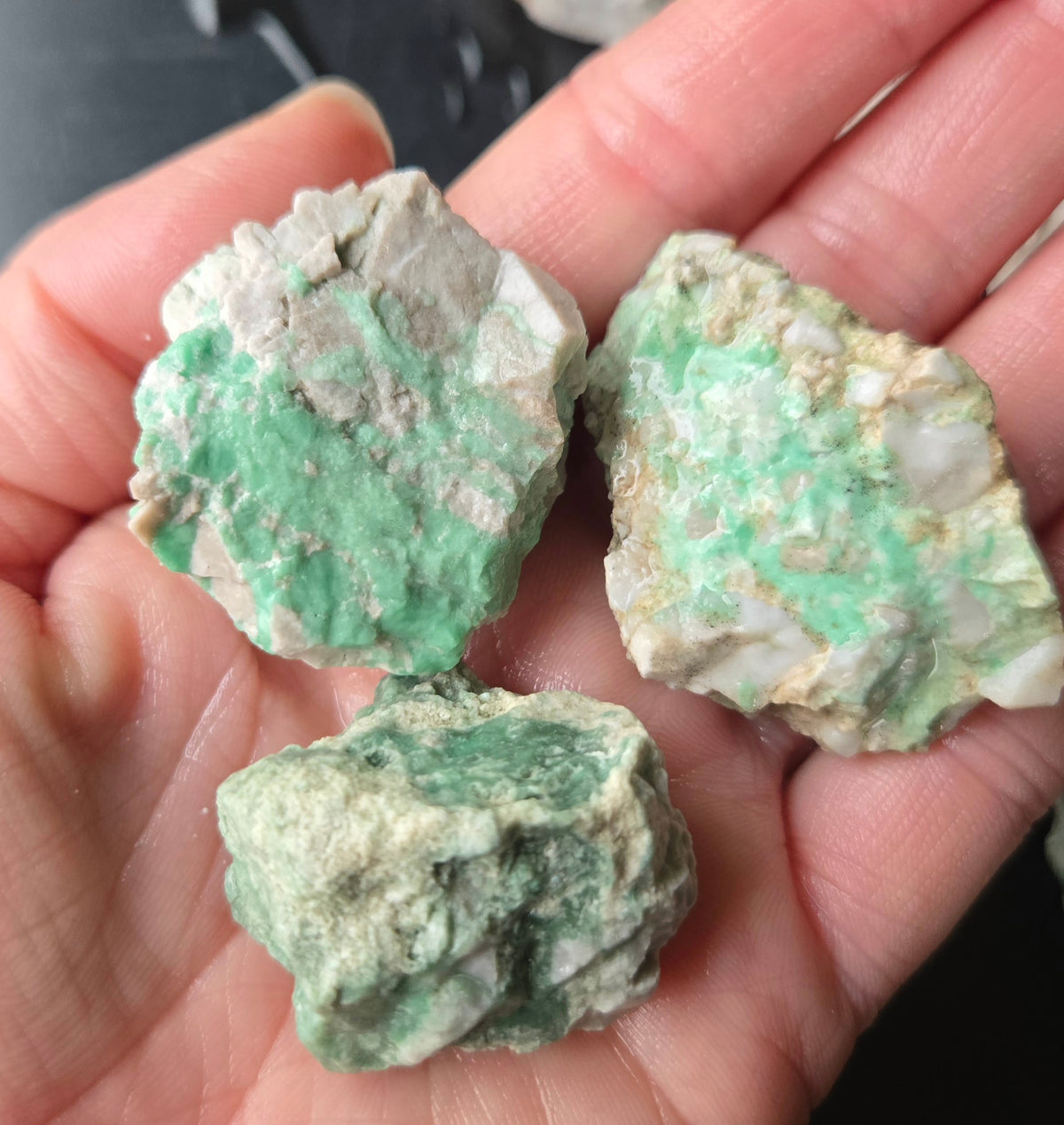Lucin Variscite Rough for cabbing - Natural Utah Variscite- Lot 14