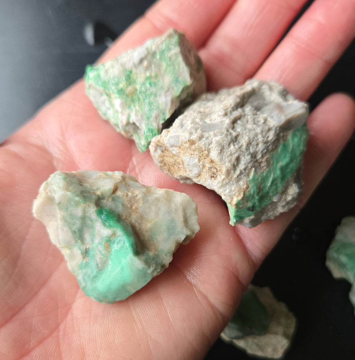 Lucin Variscite Rough for cabbing - Natural Utah Variscite- Lot 14