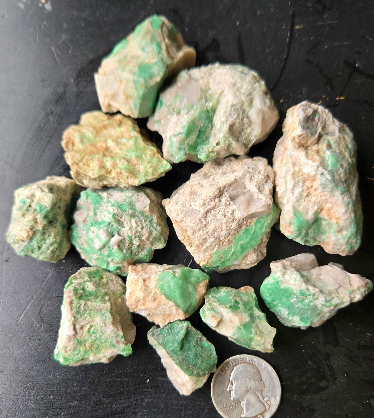 Lucin Variscite Rough for cabbing - Natural Utah Variscite- Lot 14