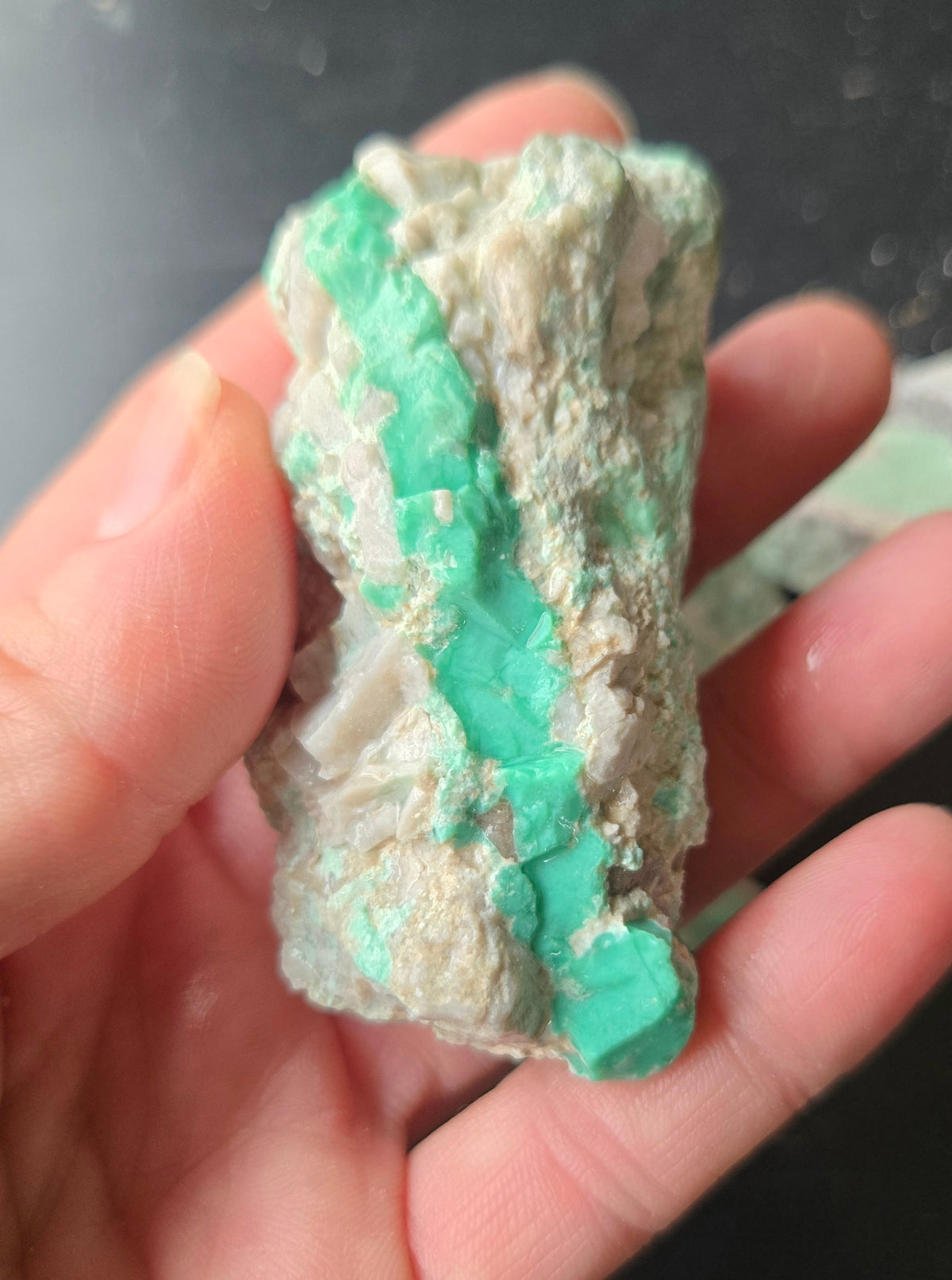 Lucin Variscite Rough for cabbing - Natural Utah Variscite- Lot 15