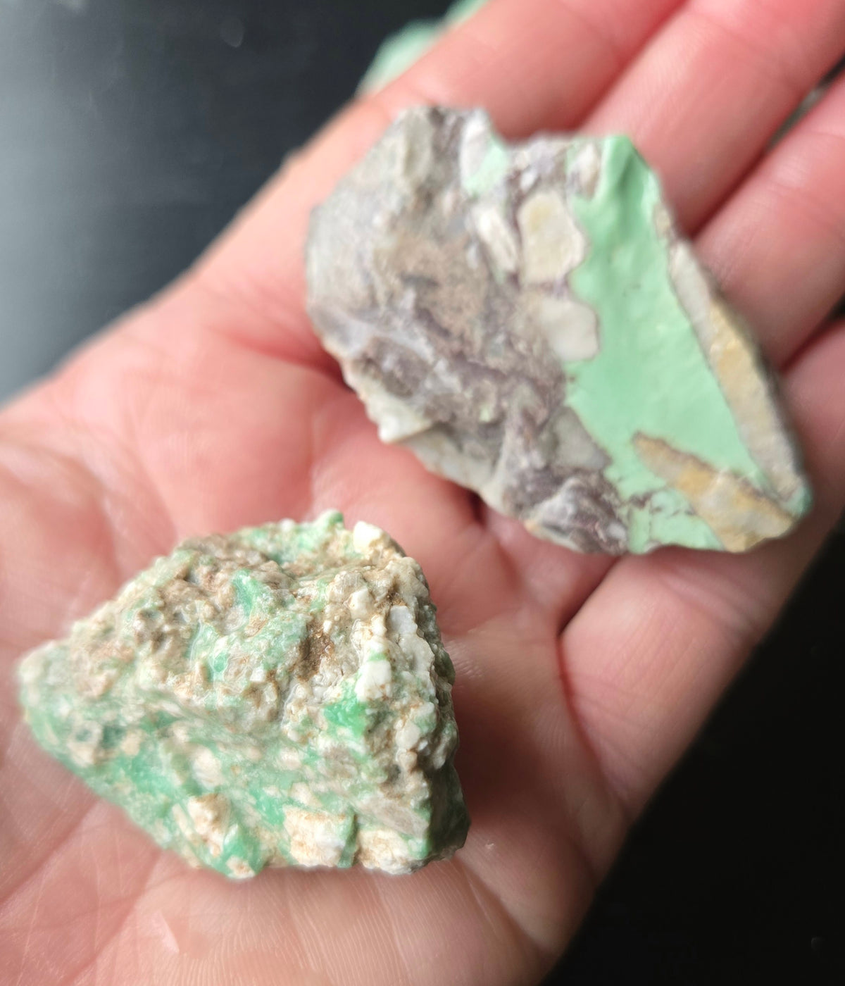 Lucin Variscite Rough for cabbing - Natural Utah Variscite- Lot 15