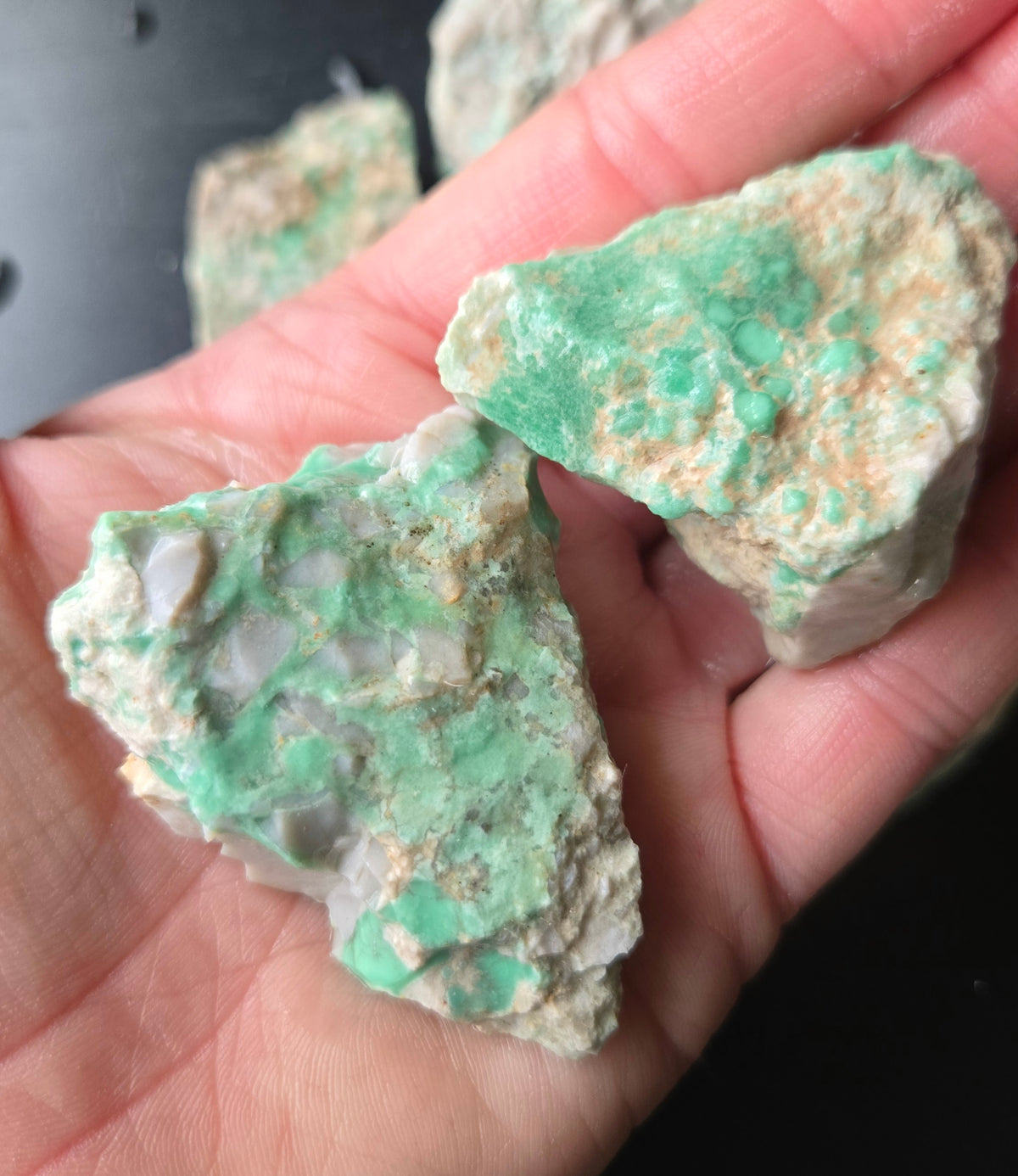 Lucin Variscite Rough for cabbing - Natural Utah Variscite- Lot 15