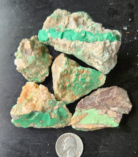 Lucin Variscite Rough for cabbing - Natural Utah Variscite- Lot 15