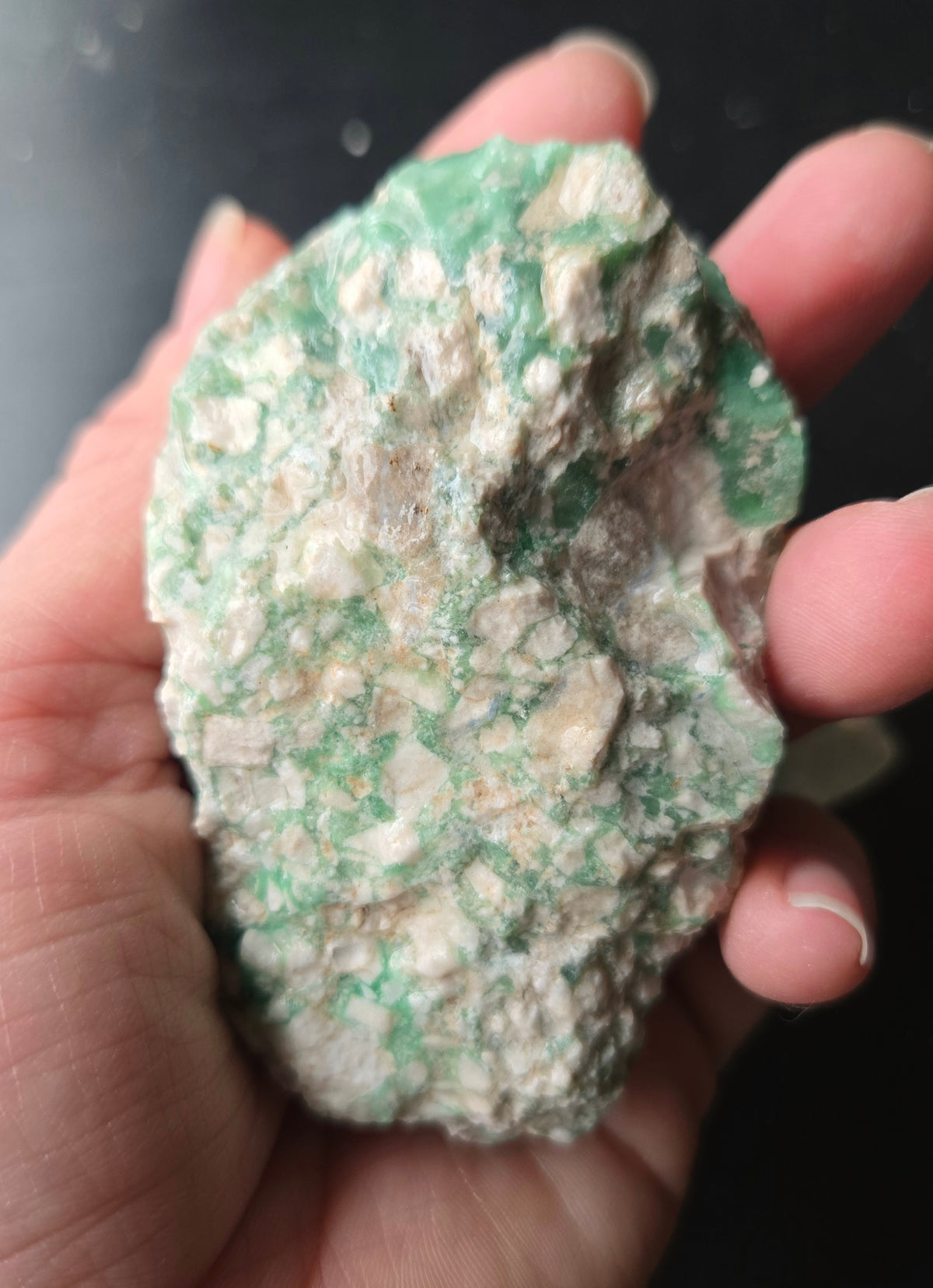 Lucin Variscite Rough for cabbing - Natural Utah Variscite- Lot 16